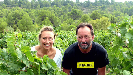 Salena's Flavor of the Week - Fond Cyprès 'Cyprès de Toi' Blanc 2021
