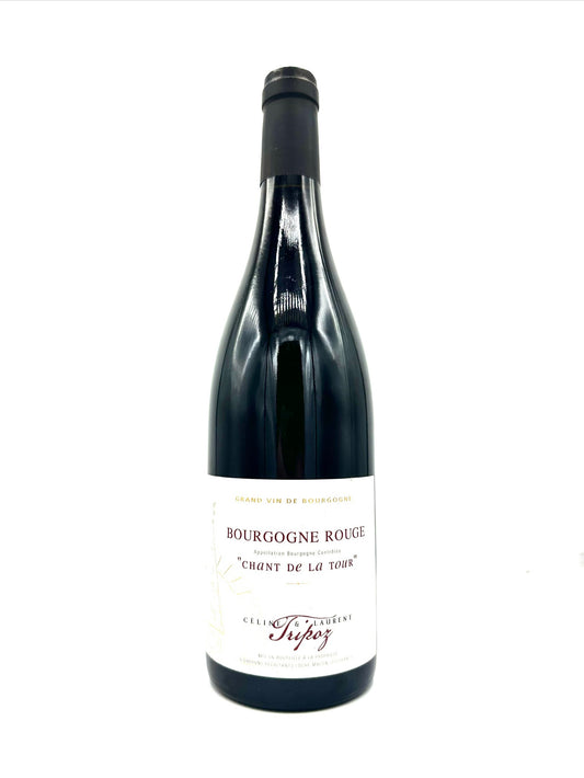 Celine et Laurent Tripoz 'Chant de la Tour' Bourgogne Rouge 2023
