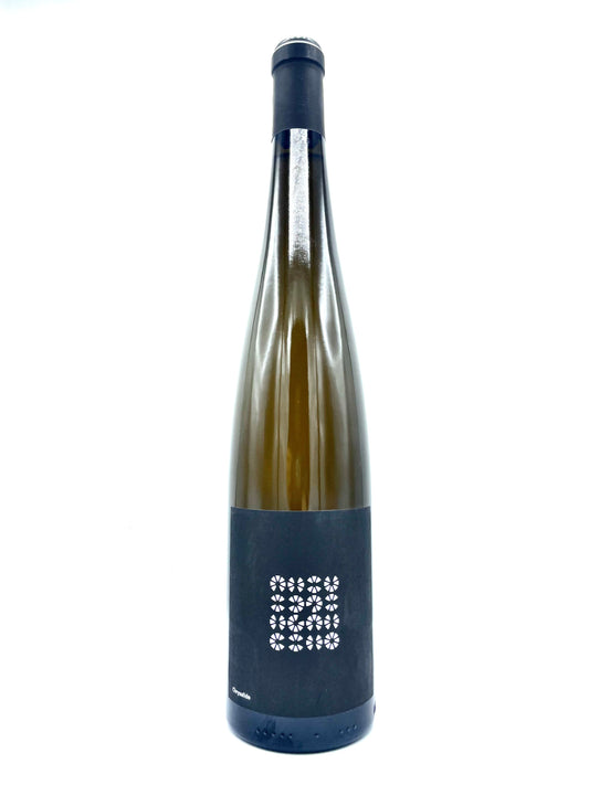 Achillée 'Chrysalide' Blanc 2021