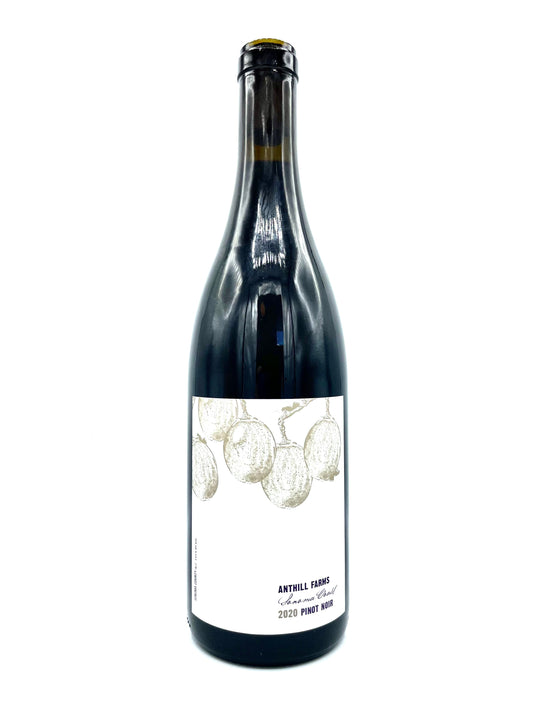 Anthill Farms 'Sonoma Coast' Pinot Noir 2022