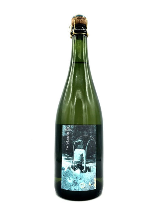 Mas Goma 'La Planta' Cava NV