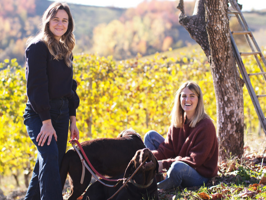 Piedmont Spotlight: 2022 Lalu Langhe Nebbiolo