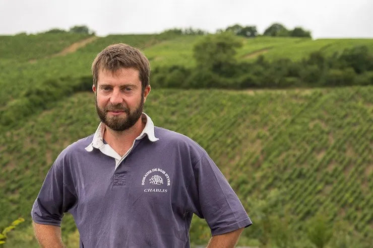 Spotlight: Domaine Pattes Loup Chablis 2-PACK