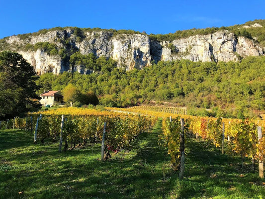 Exclusive: 2022 Domaine Bartschi 'Sous les Rochers' Chardonnay