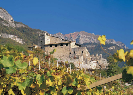 Exclusive: 2019 Castel Noarna 'Mercuria'