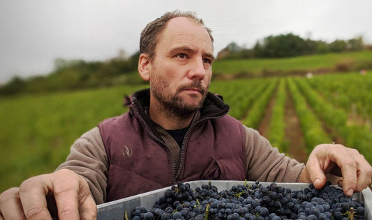Newsletter: 2022 Benoit Chevallier Coteaux Bourguignons