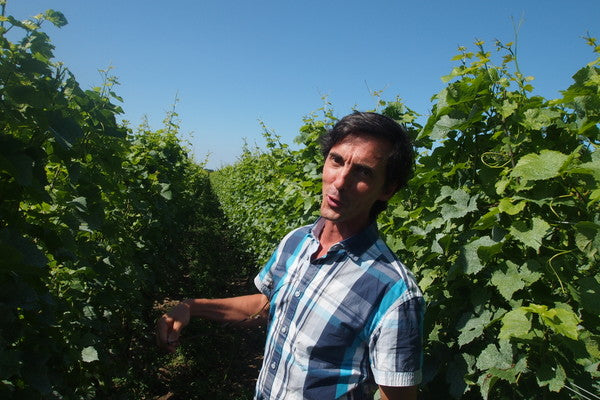 Newsletter: 2021 Pearl Morissette 'Racines Du Ciel' Cabernet Franc