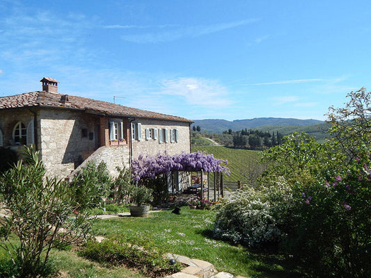 Newsletter: Val delle Corti Chianti Classico 2019