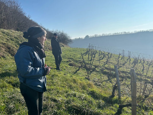 Exclusive: Marie-Pierre Chevassou-Fassenet Pinot Noir 2023