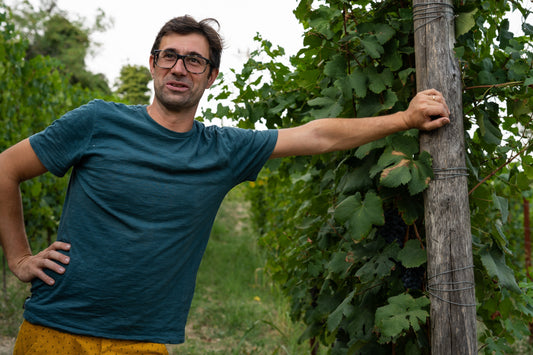 Holiday Countdown 2022 (DAY 4) - 2018 Ghëddo Barolo