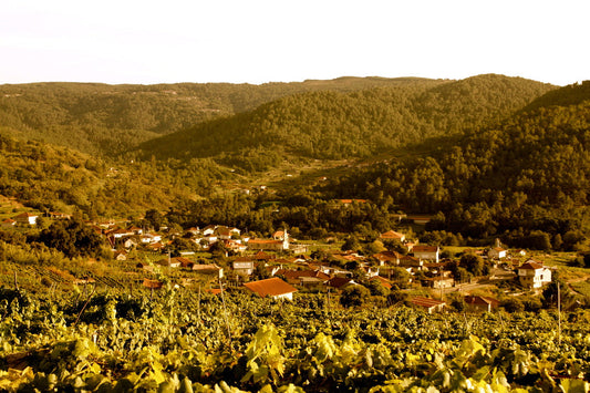Newsletter: 2021 Luis Rodríguez Vazquez 'Os Pasás' Ribeiro Blanco