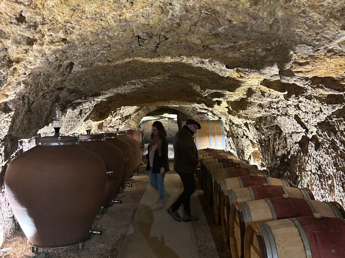 Exclusive: 2021 Domaine Des Sables Verts 'Les Poyeux' Saumur-Champigny