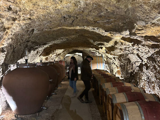 Exclusive: 2021 Domaine Des Sables Verts 'Les Poyeux' Saumur-Champigny