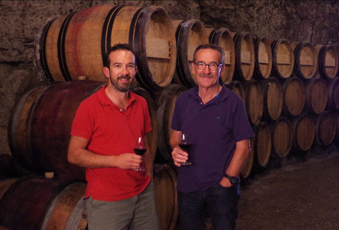 Exclusive: 2019 Baudry Clos Guillot Chinon