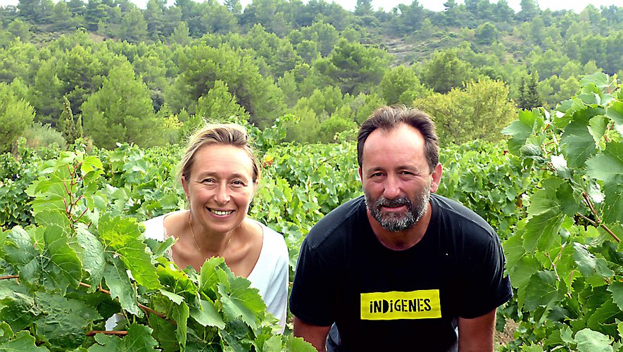 Salena's Flavor of the Week - Fond Cyprès 'Cyprès de Toi' Blanc 2021
