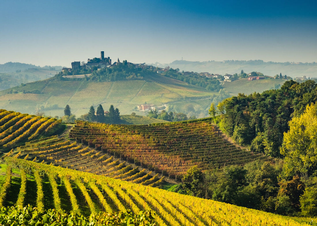 Exclusive: 2017 Guidobono 'La Coste di Monforte' Barolo