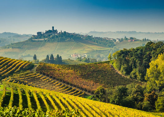 Exclusive: 2017 Guidobono 'La Coste di Monforte' Barolo