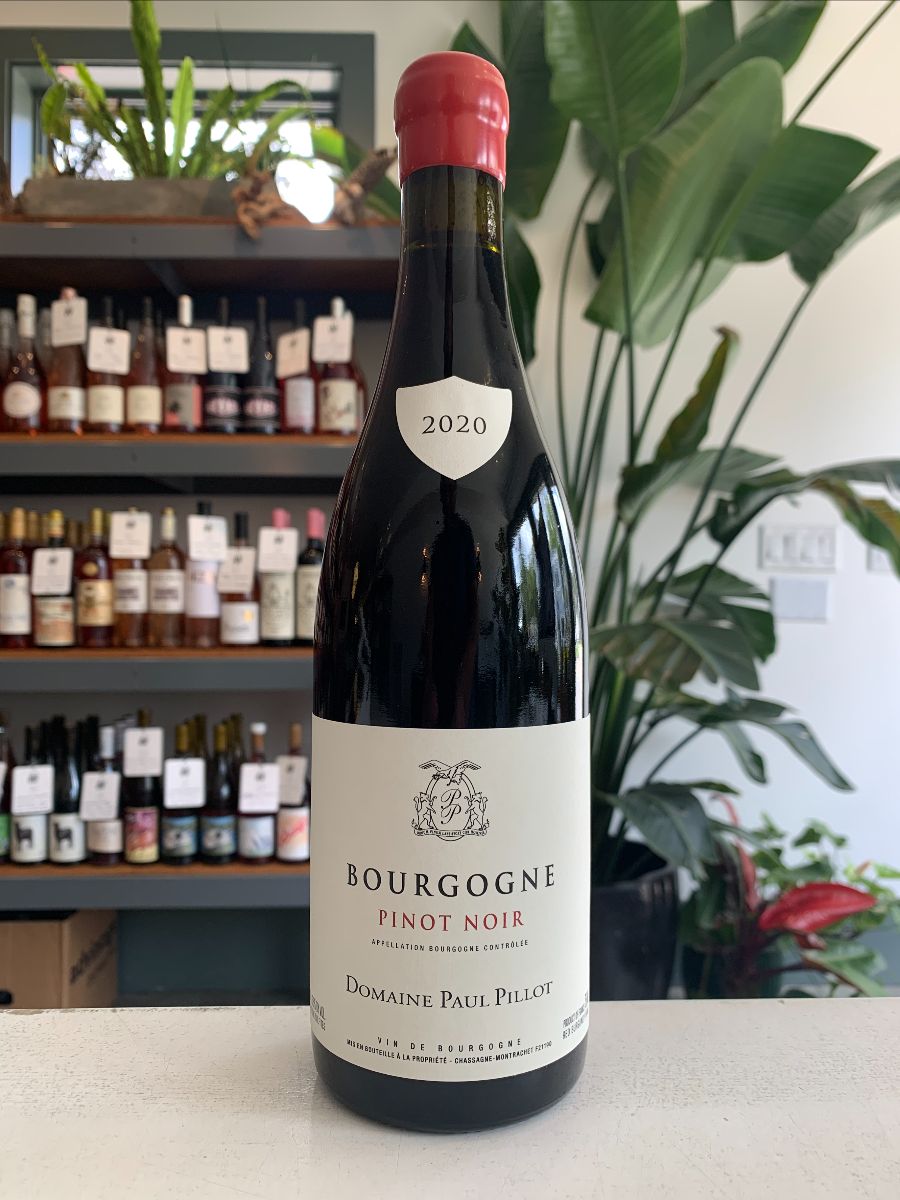 Exclusive: 2020 Paul Pillot Bourgogne Rouge