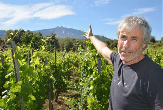 Exclusive: 2016 I Custodi 'Aetneus' Etna Rosso