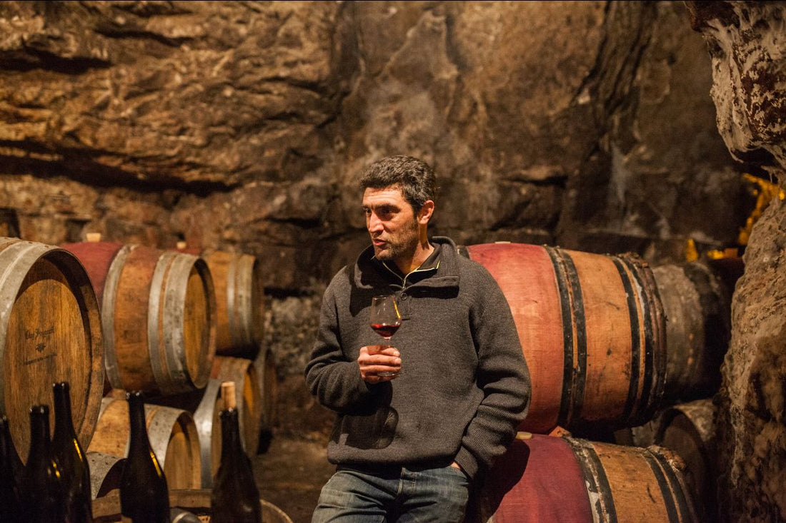 Newsletter: 2019 Domaine Du Collier Saumur Blanc – Monarch Wine Merchants
