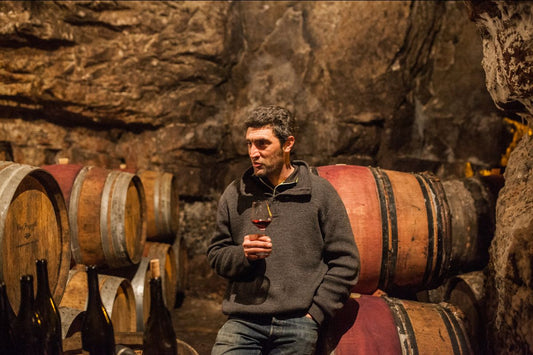 Newsletter: 2019 Domaine Du Collier Saumur Blanc