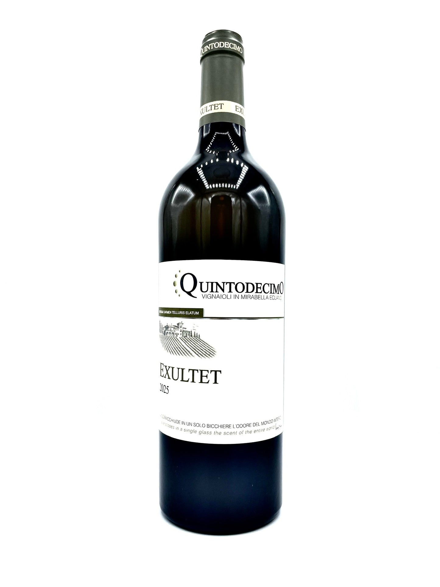 Quintodecimo 'Exultet' Fiano di Avellino 2025
