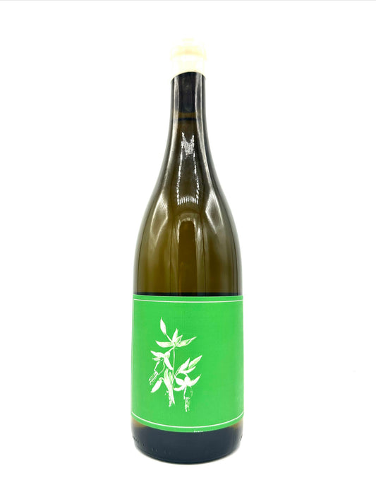 Arnot-Roberts 'Ascona Vineyard' Sauvignon Blanc 2024