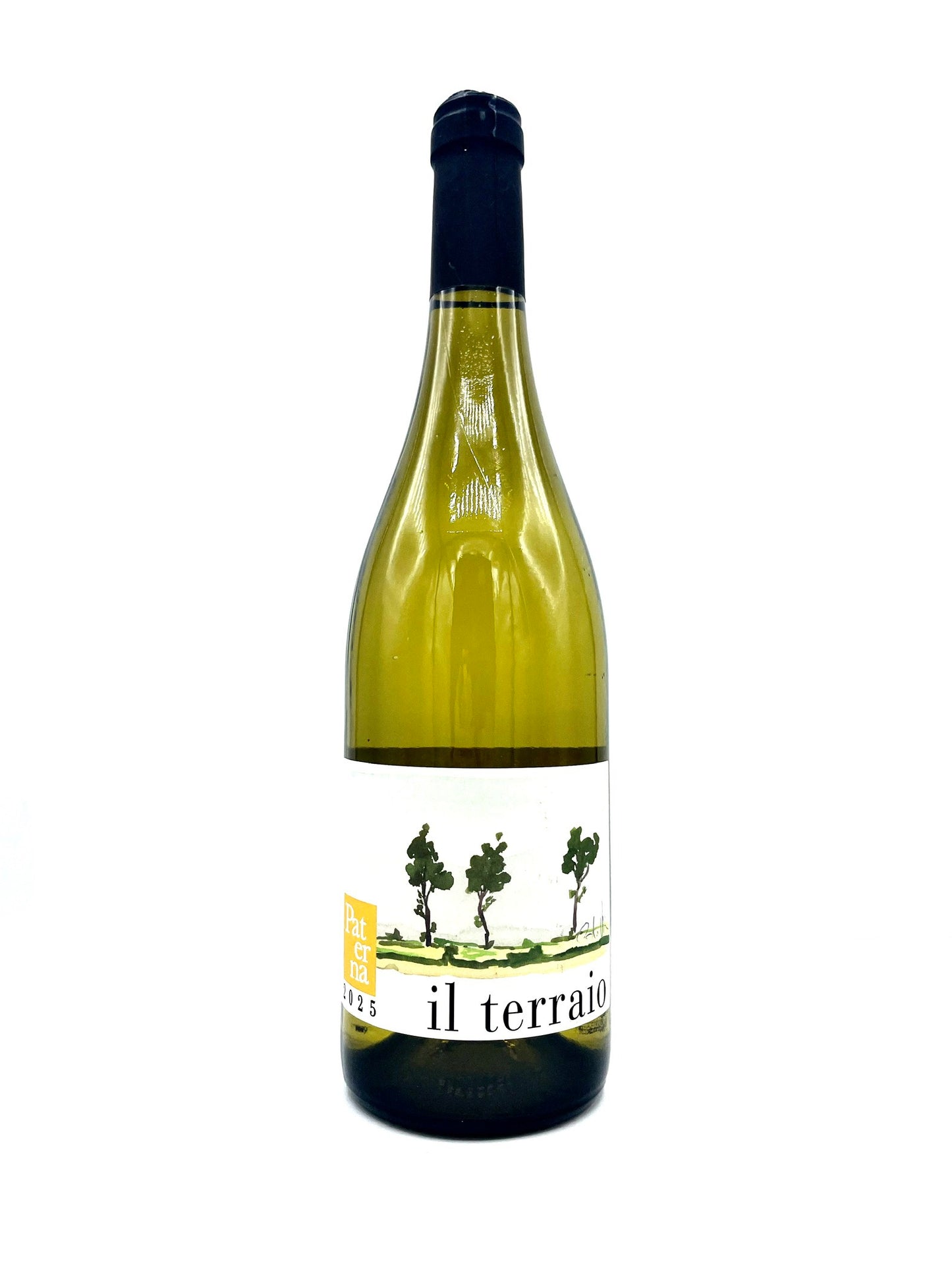 Paterna 'Il Terraio' Toscana Bianco 2025