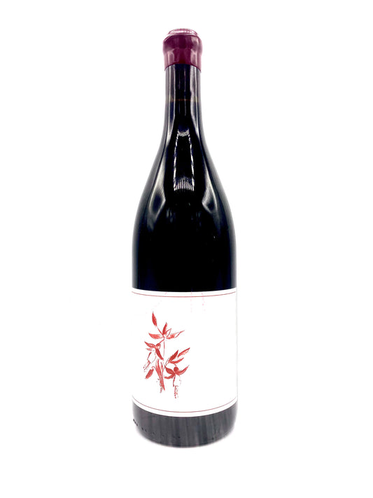 Arnot-Roberts, Sonoma Coast Syrah 2022
