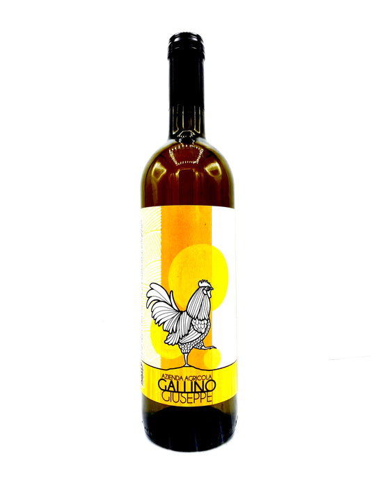 Gallino Giuseppe 'Mon Plin' 2021