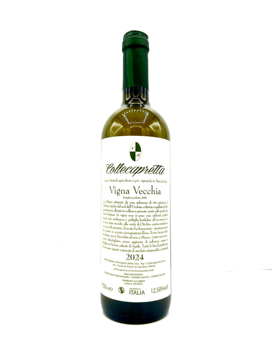 Collecapretta 'Vigna Vecchia' 2024