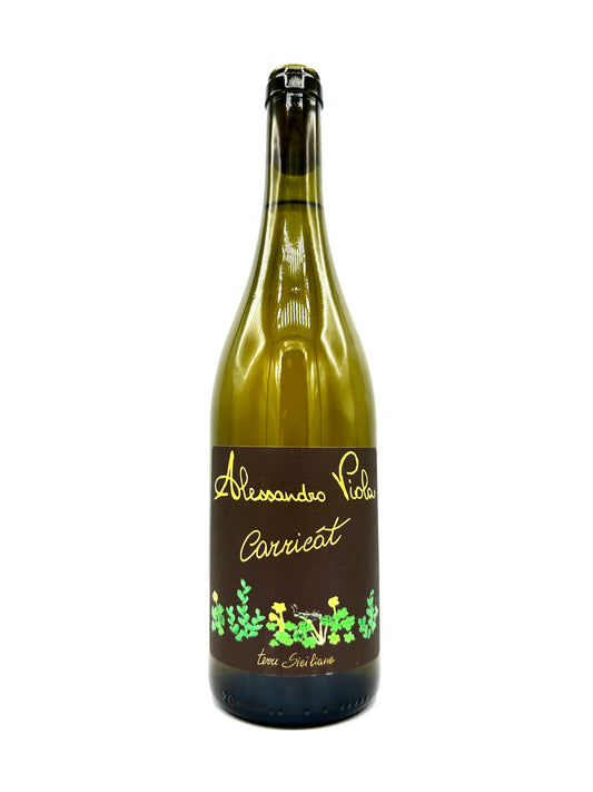 Alessandro Viola 'Carricat' Bianco 2021