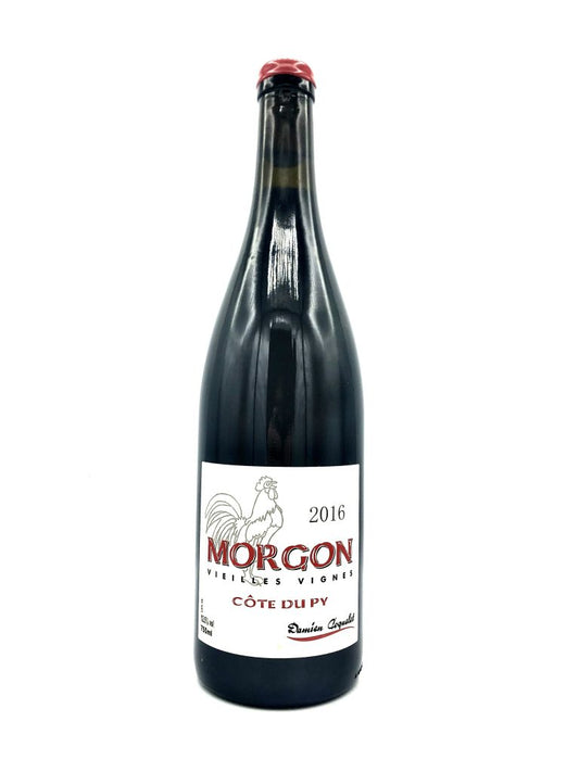 Damien Coquelet 'Cote de Py' Morgon 2020