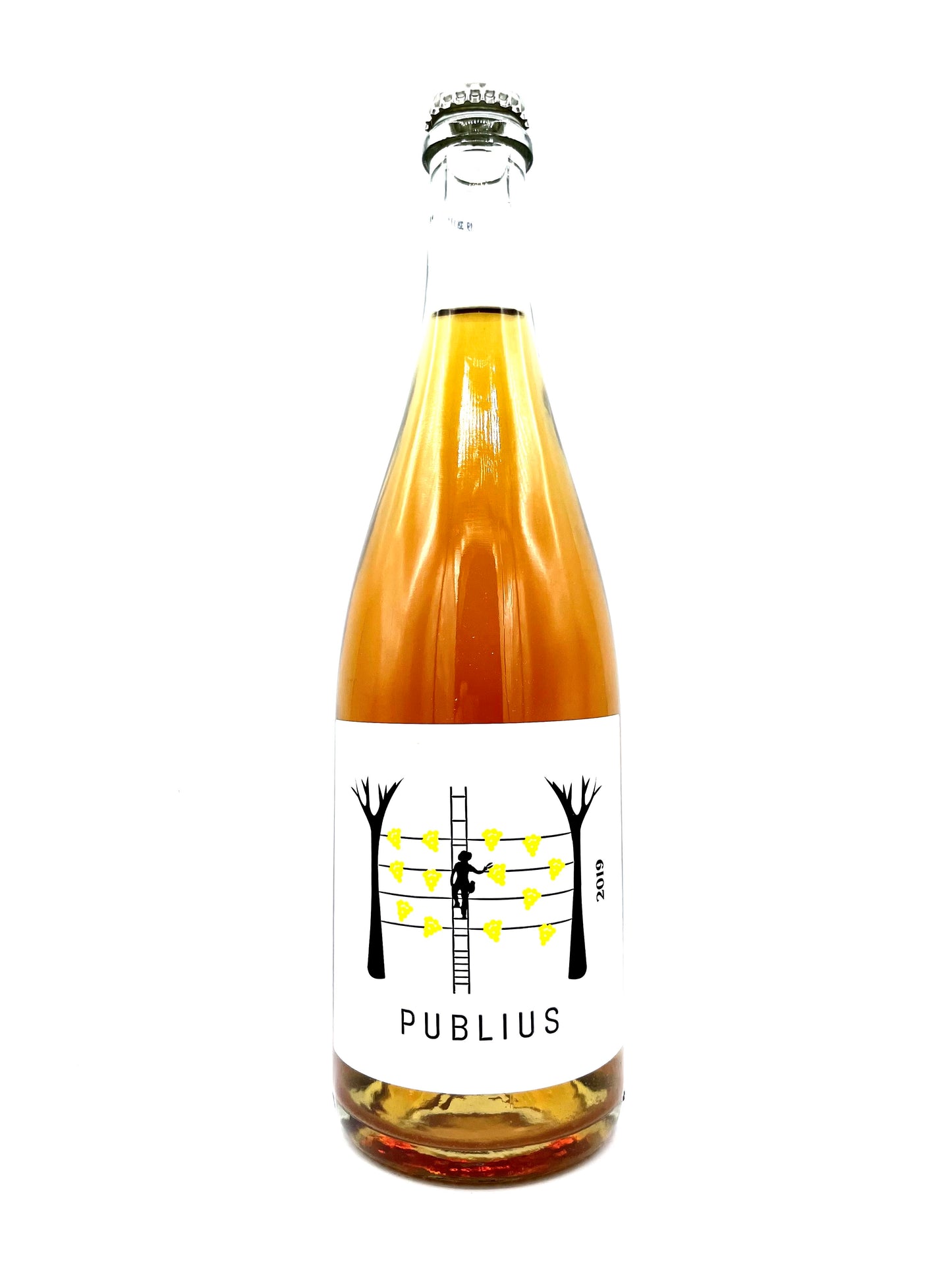 Gaia Felix 'Publius' Pet Nat 2019