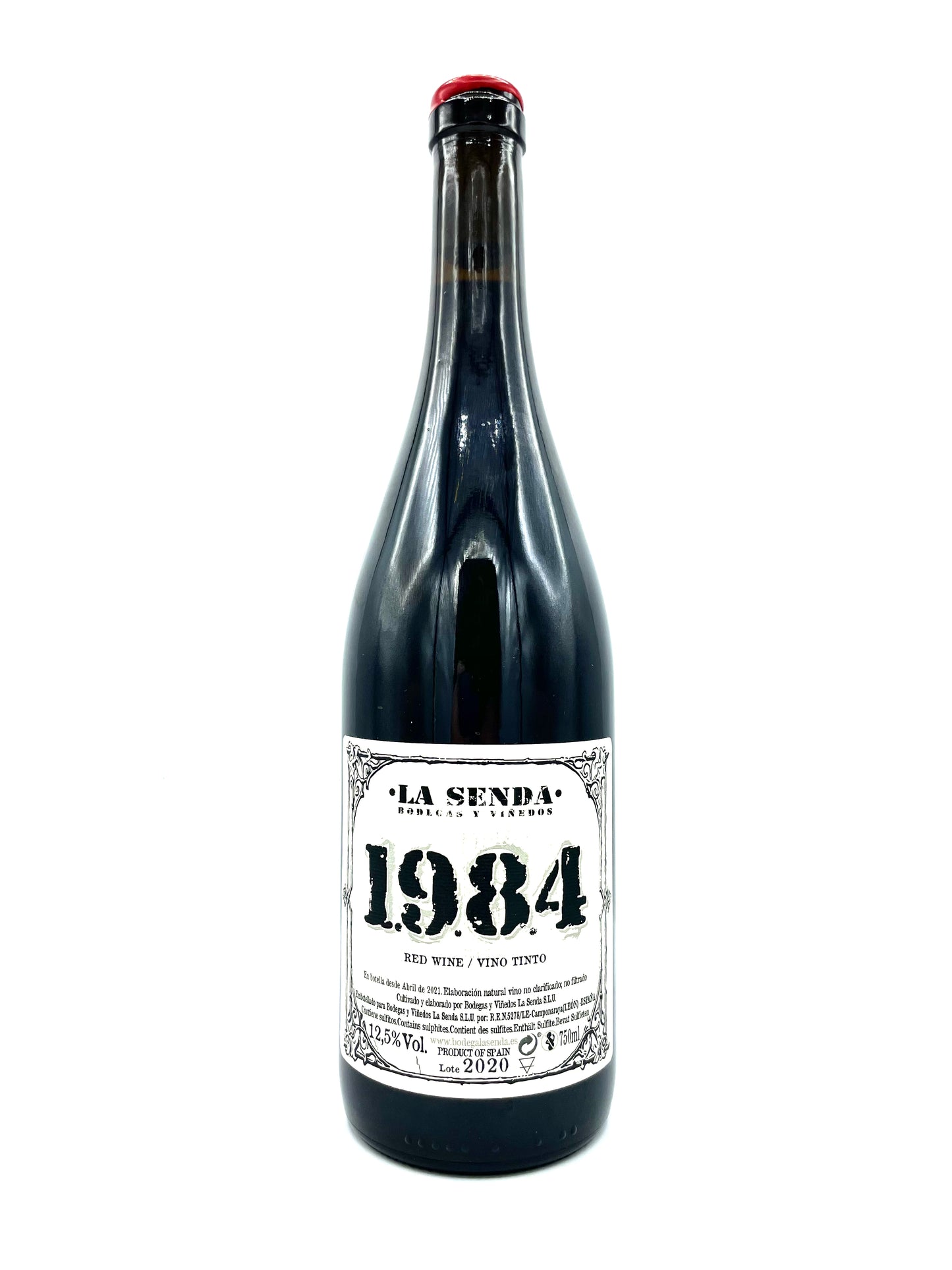 Diego Losada '1984' 2020