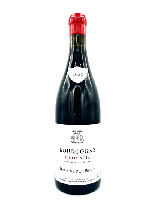 Paul Pillot, Bourgogne Rouge 2020